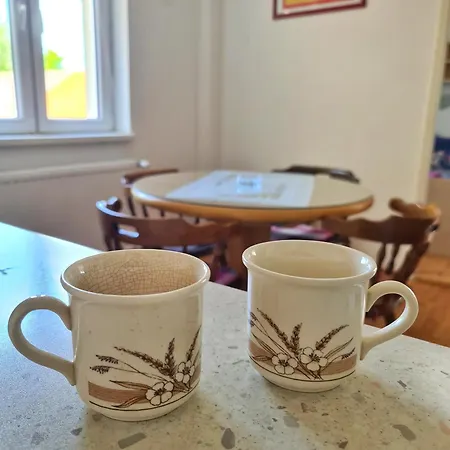 Maja V Apartment Soko Banja