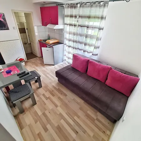 Maja V Apartment Soko Banja