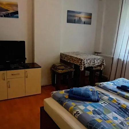 Apartment Maja V Soko Banja